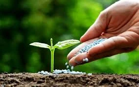 Agricultural fertilizers and soil